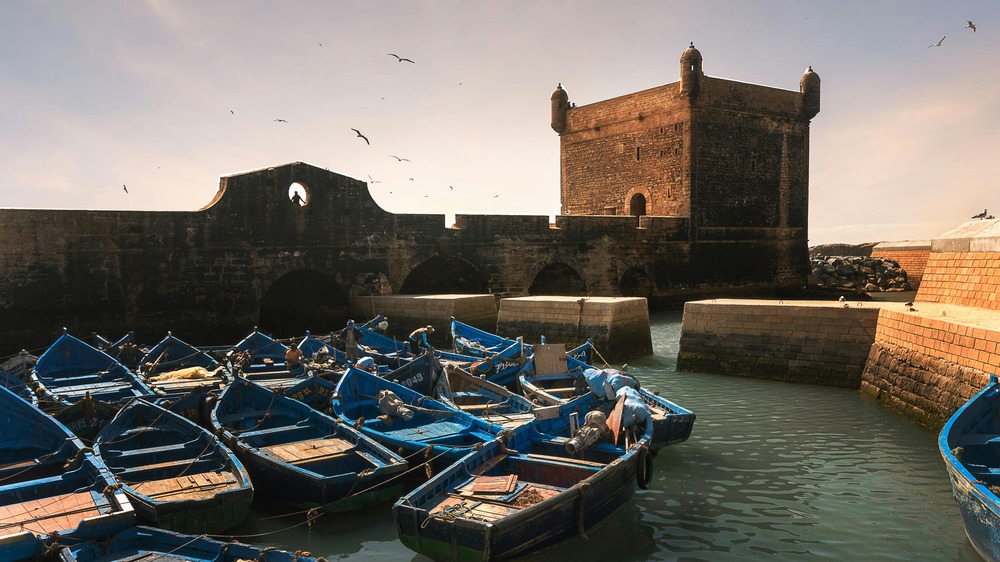 Essaouira Citadel
