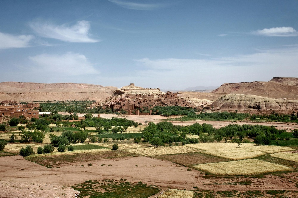 Skoura Oasis