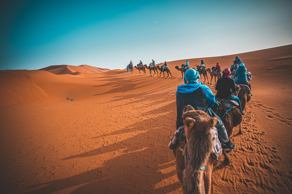 Camel Trekking in Merzouga