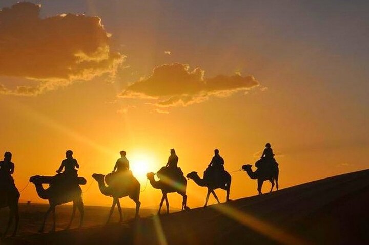 Sunset Camel Rides