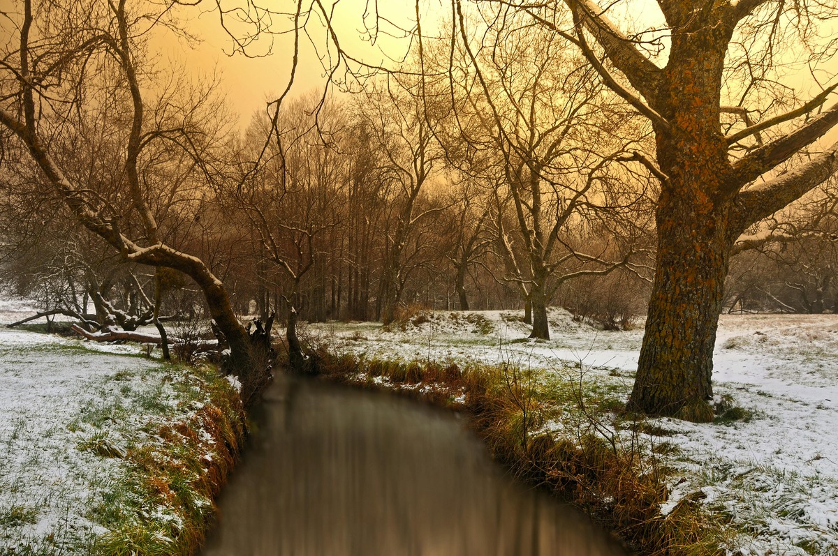 Things to do in Ifrane: Morocco's Switzerland