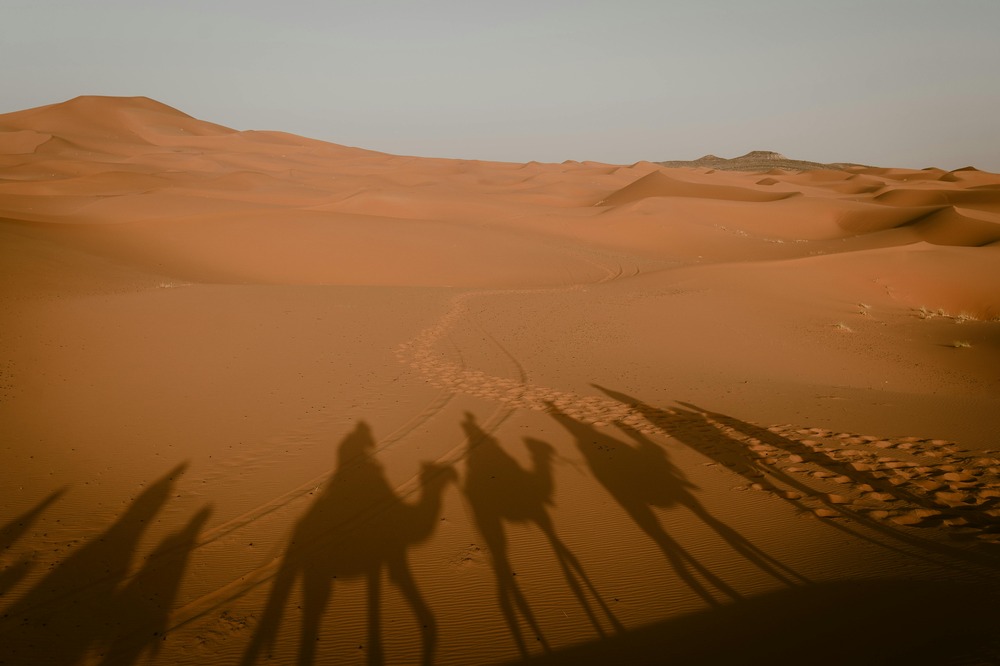 Merzouga Camel Trekking: What to Expect and How to Prepare
